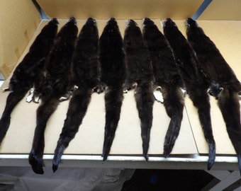 XXL Dark Otter hide Professionally tanned #1 grade/Pelt/Fur/hair ties