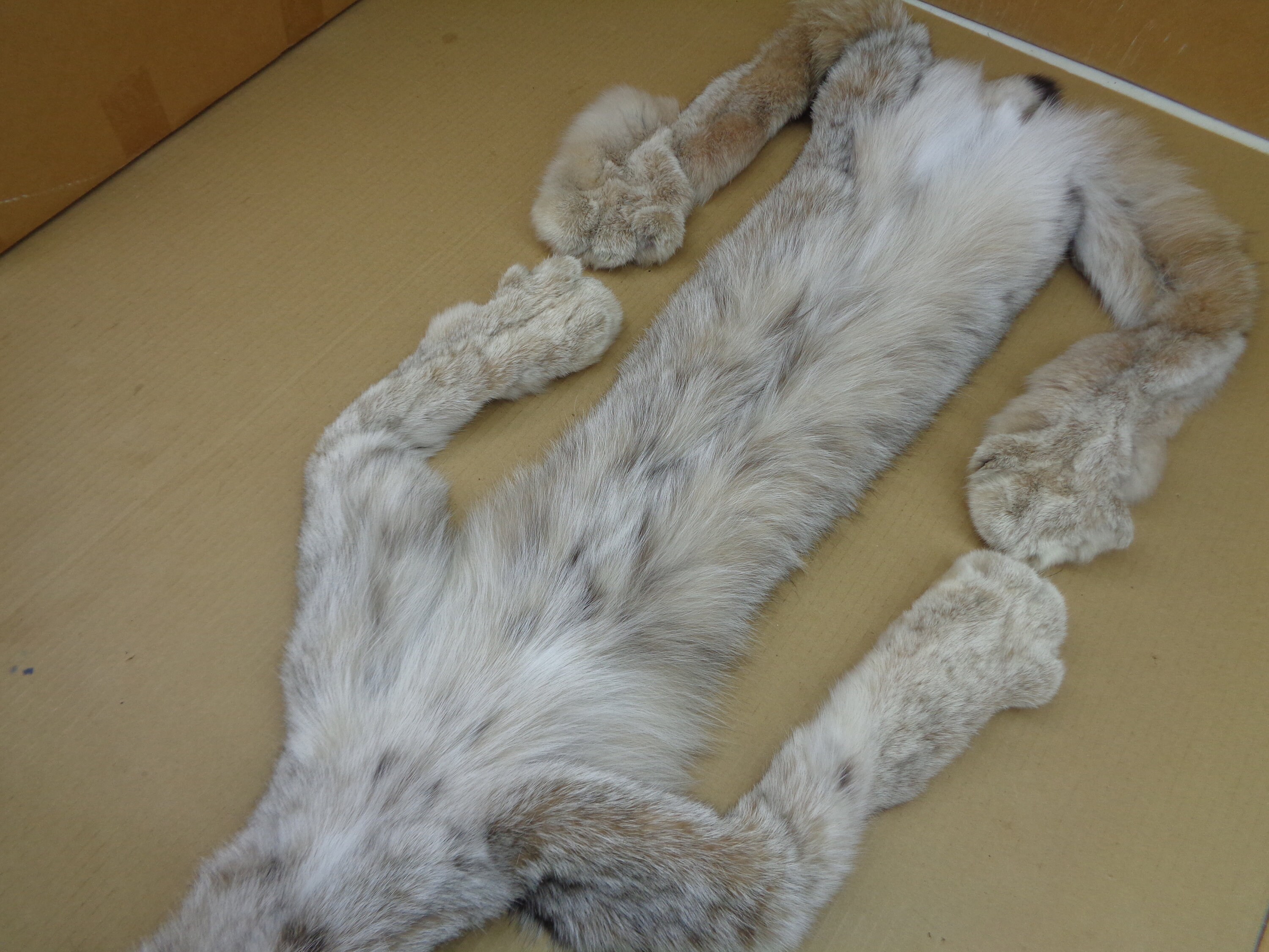XXL Alaskan Lynx Hide With Feet and Claws Professionally Etsy