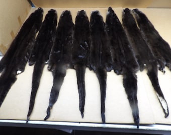 XL dark otter hide Professionally tanned #1 grade/Pelt/Fur/Hair ties