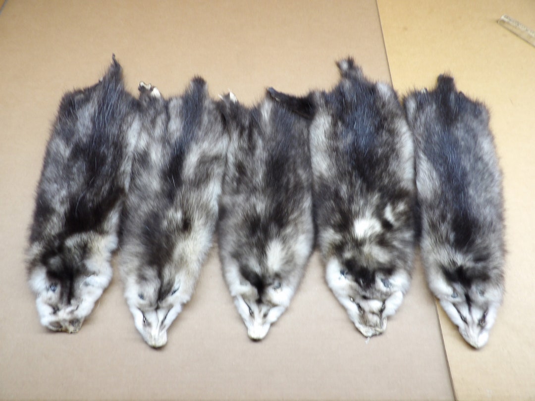 Opossum Black 1 Grade Professionally Soft Tanned Hide/pelt/real USA Fur