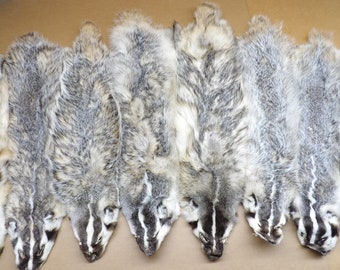 Professionally soft tanned Semi-Heavy/flat Badger hide/pelt/furs
