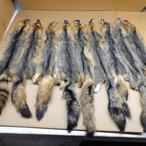 Grey fox hide #2 grade Professionally tanned/Pelt/Natural fur