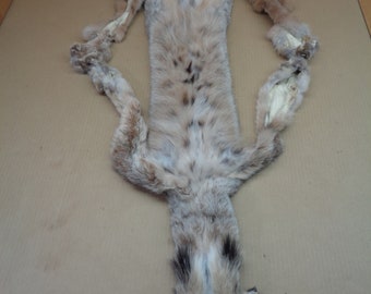 Tanned Bobcat Hide Trapping Great Quality Slight DAMAGED REDUCED 