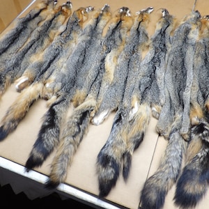 Grey Fox Hide #2 Grade Professionally Tanned/pelt/natural Fur - Etsy