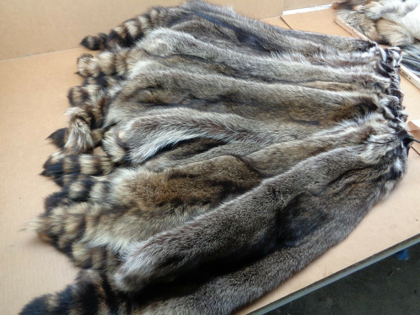 Professionally Soft tanned 3XL #1 Grade Iowa Raccoon/Coon hide/pelt