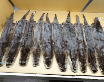 Professionally tanned XL damage otter hide/Pelt/Fur/Hair ties