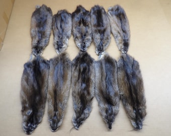 Muskrat XL #1 grade professionally soft tanned hide/Pelt/real USA fur
