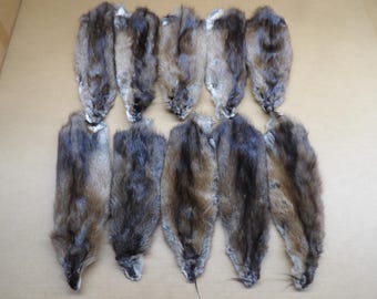 Muskrat XL #2 grade professionally soft tanned hide/Pelt/real USA fur