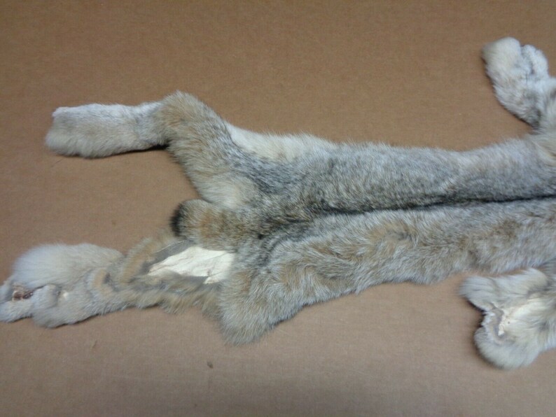 Professionally tanned LM 1 grade lynx hide/Pelt Etsy