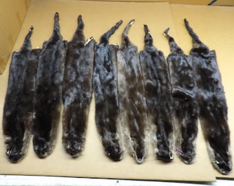 Professionally tanned damage grade medium otter hide/Pelt/Fur/Hair ties