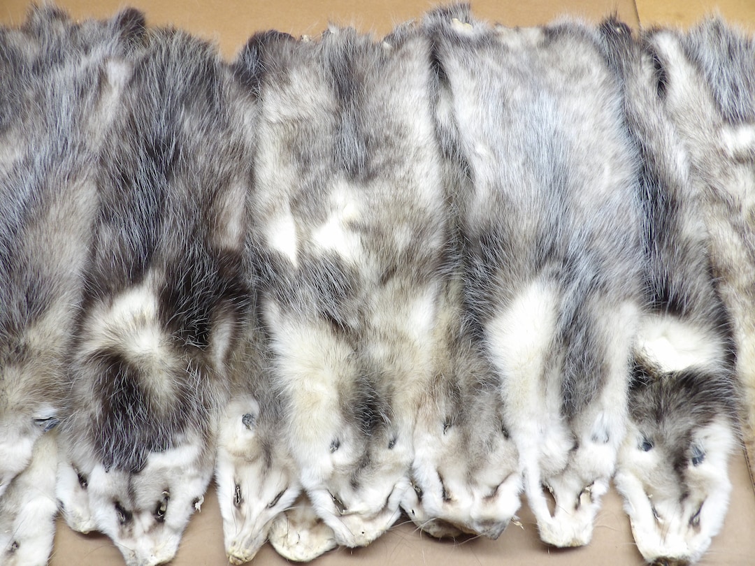 Opossum XL 2 Grade Professionally Soft Tanned Hide/pelt/real USA Fur Etsy