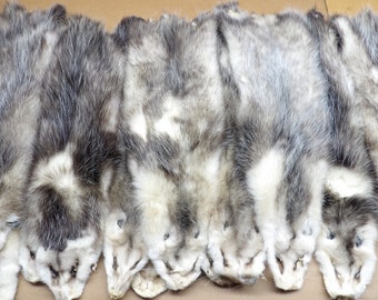 Opossum XL #2 grade professionally soft tanned hide/Pelt/real USA fur