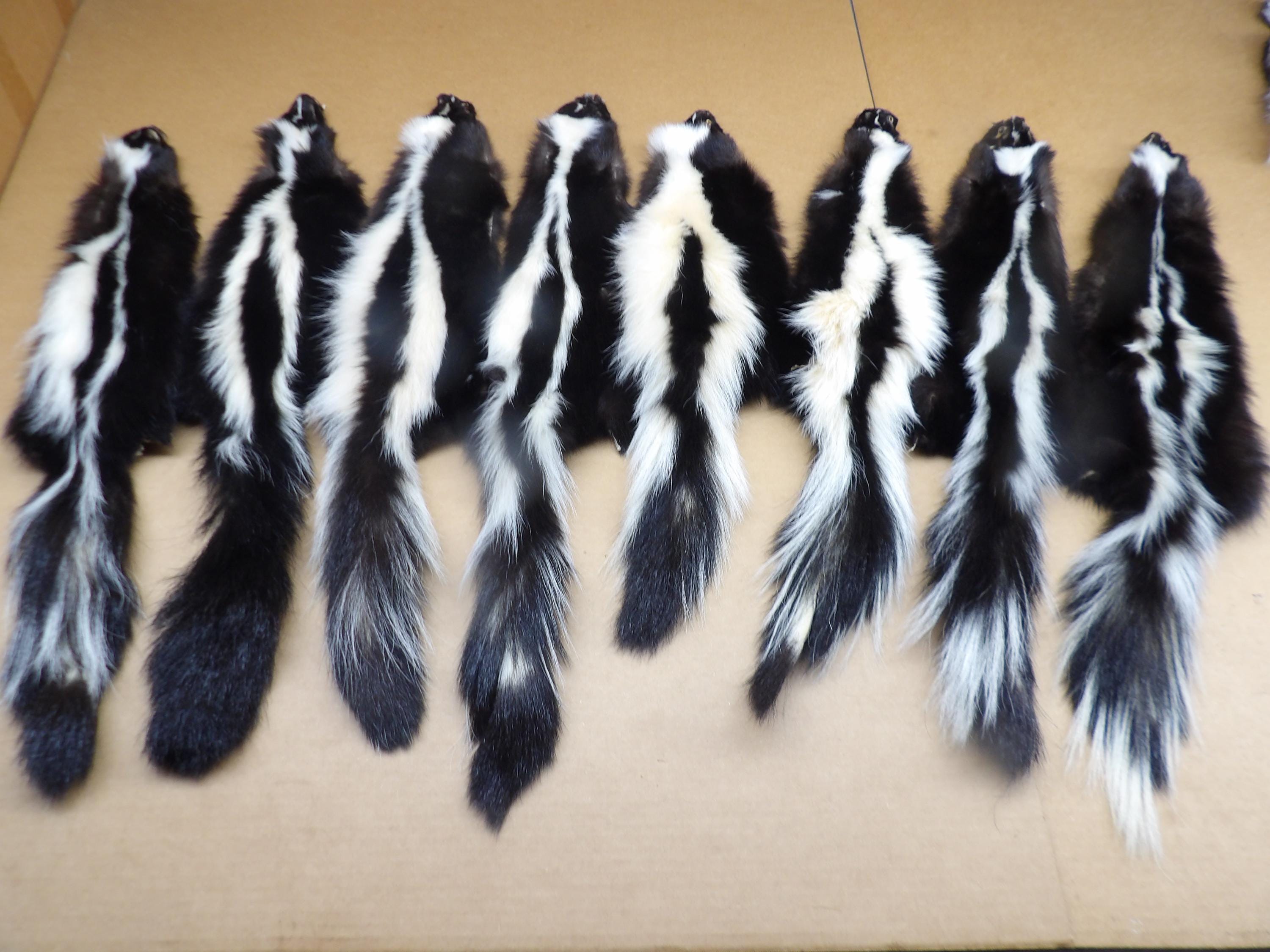 トップス share spirit skunk fur best sheep wool share wool fur spirit sheep best skunk トップス