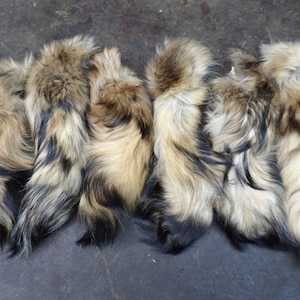 Professionally soft tanned Finn Coon/Tanuki tail/real fur
