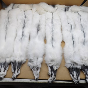 Professionally tanned #1 Grade 3XL Arctic Marble Fox hide/pelt/Heavy furred