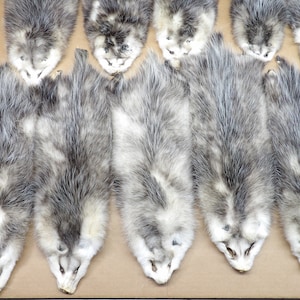 Opossum Large #1 grade professionally soft tanned hide/Pelt/real USA fur