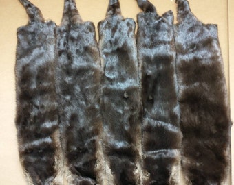 Large dark river otter hide Professionally tanned #1 grade /Pelt/Fur/Hair ties
