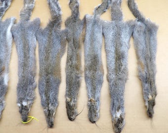 Grey Squirrel Professionally Soft tanned #1 fur/pelt/fly tying