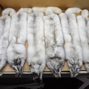 XL Blue Fox hide, Professionally tanned/pelt/nicely furred