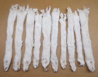 No tail White Ermine Professionally Soft tanned/Weasel/pelt