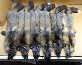 Alaskan Cross Fox #2 grade Professionally tanned/red grey fox/pelt/nicely furred