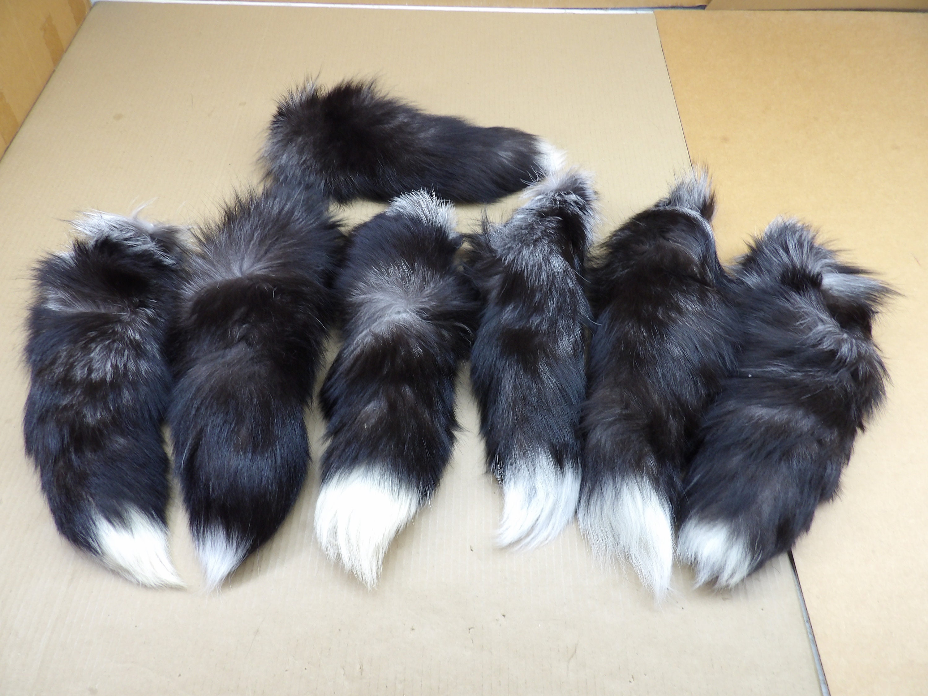 XXL Silver fox tail/Professionally soft tanned/real fur
