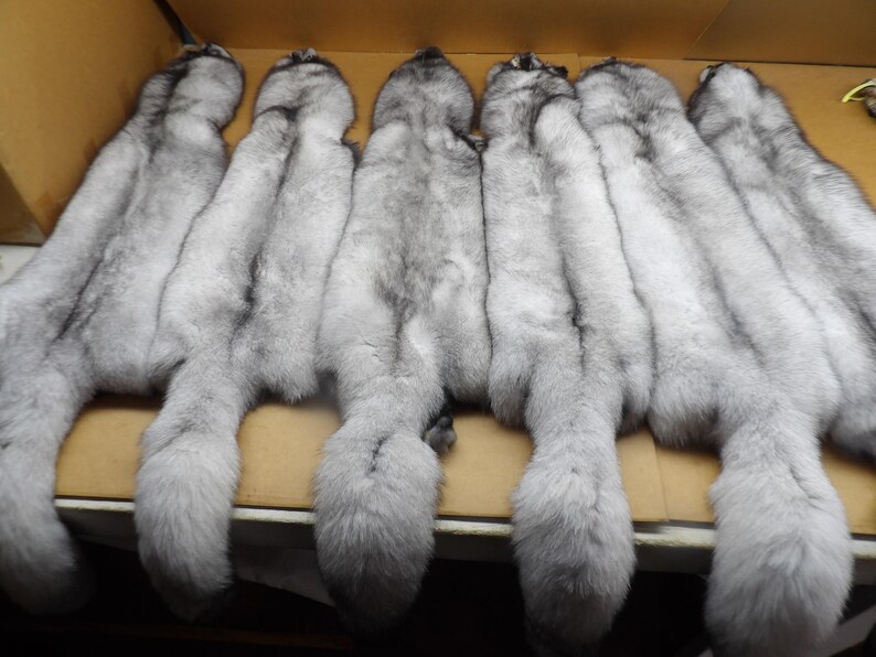 XXL Blue Fox Hide #1 Top Lot Grade, Professionally Tanned/pelt/nicely ...