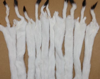 White Ermine Professionally Soft tanned #1 hide/Weasel/pelt