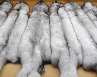 XXL Blue Fox hide #1 Top Lot grade, Professionally tanned/pelt/nicely furred