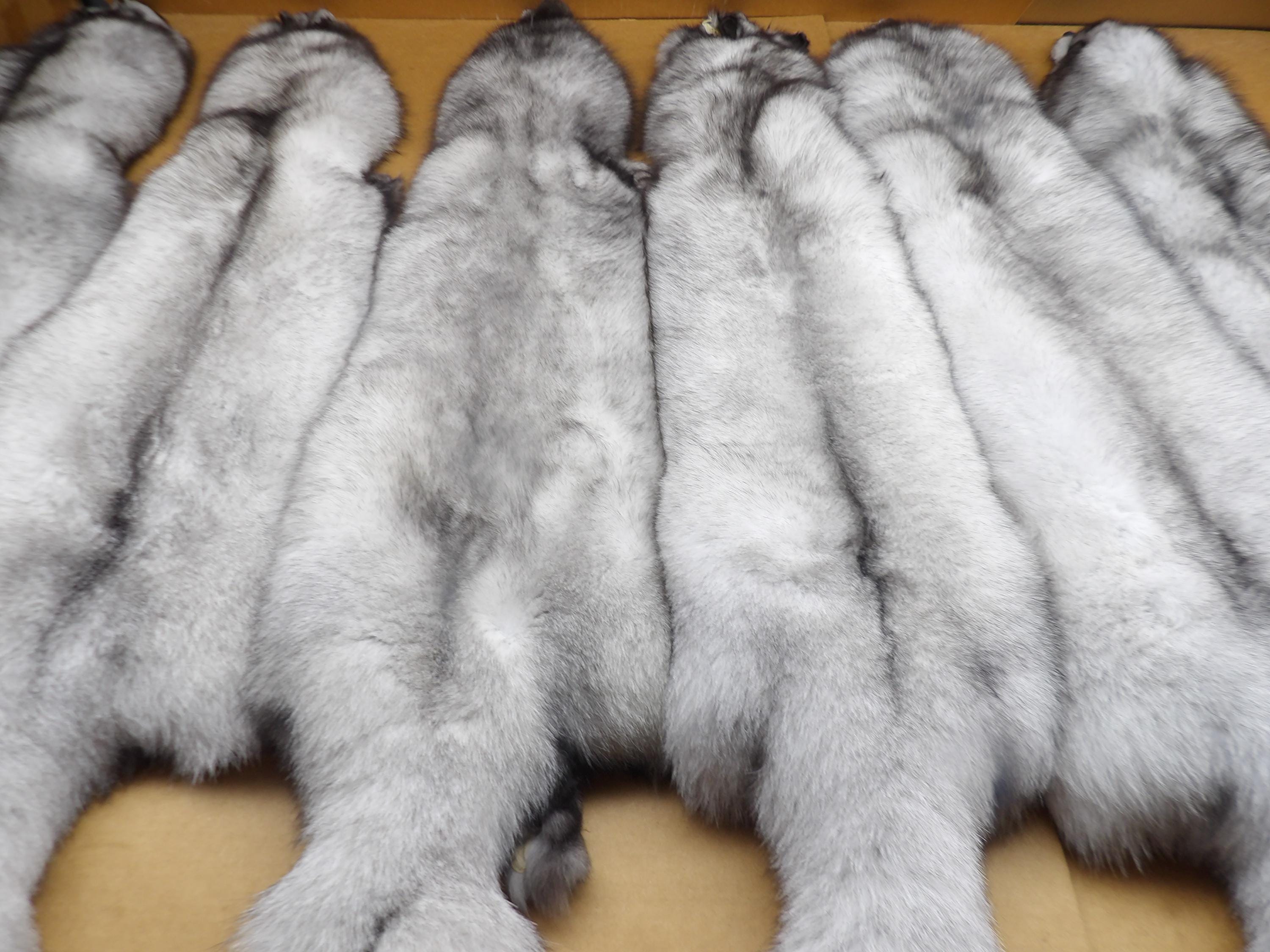 Zeno Furs Double-Sided Arctic Fox Fur Stole 70' (180cm