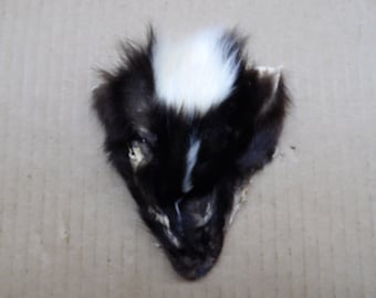 Tanned skunk face/real fur/craft fur