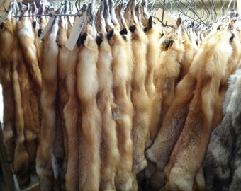 Professionally tanned #1 grade Red fox hide/Pelt