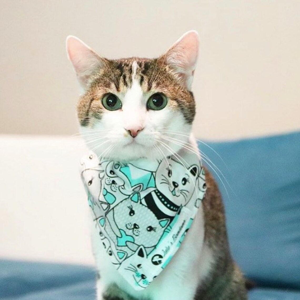 Cat Print Bandana With Matching Scrunchie Etsy