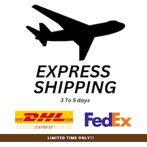 May include: A black silhouette of an airplane above the words "EXPRESS SHIPPING". Below the text are the logos for DHL Express and FedEx. The text "LIMITED TIME ONLY!!" is at the bottom.
