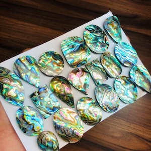 Concha de abulón, cabujón de abulón, lote de piedras preciosas sueltas al por mayor, concha de abulón de calidad rara, forma de cabujón, concha de abulón para joyería.