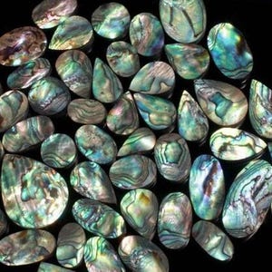 Concha de abulón, a granel y lote por kilogramo Concha de abulón, calidad rara, cabujón, precio al por mayor, tamaño mixto. Lote de concha de abulón con forma para joyería.