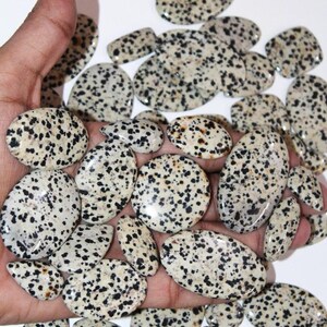 Lot de prix de gros en jaspe dalmatien, forme mélangée, cabochon en jaspe dalmate, vente en gros pour la fabrication de bijoux.