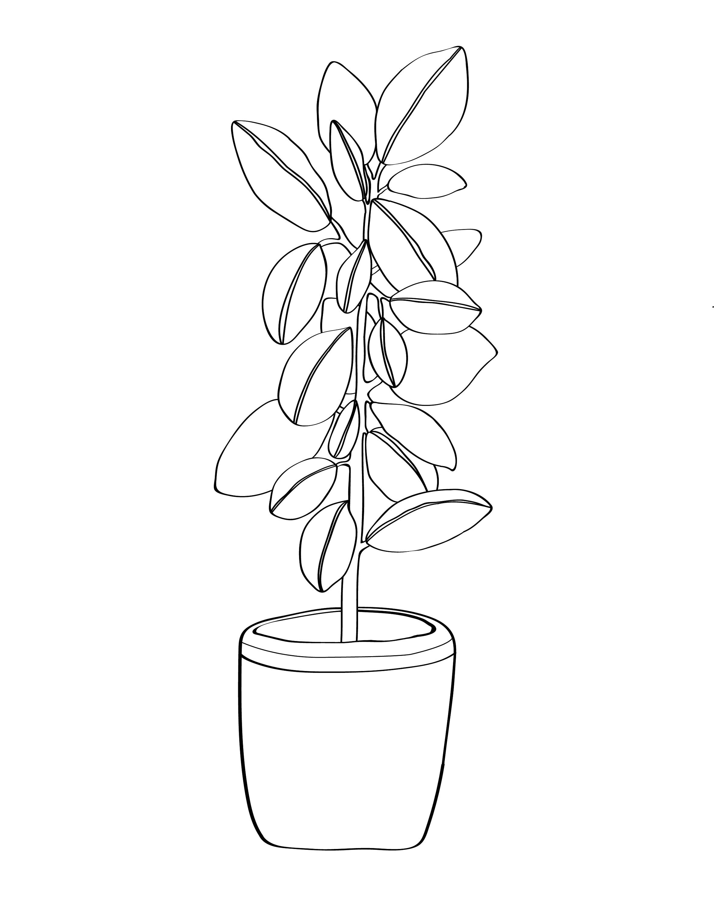 Plant Plain Pot Coloring Page | Etsy