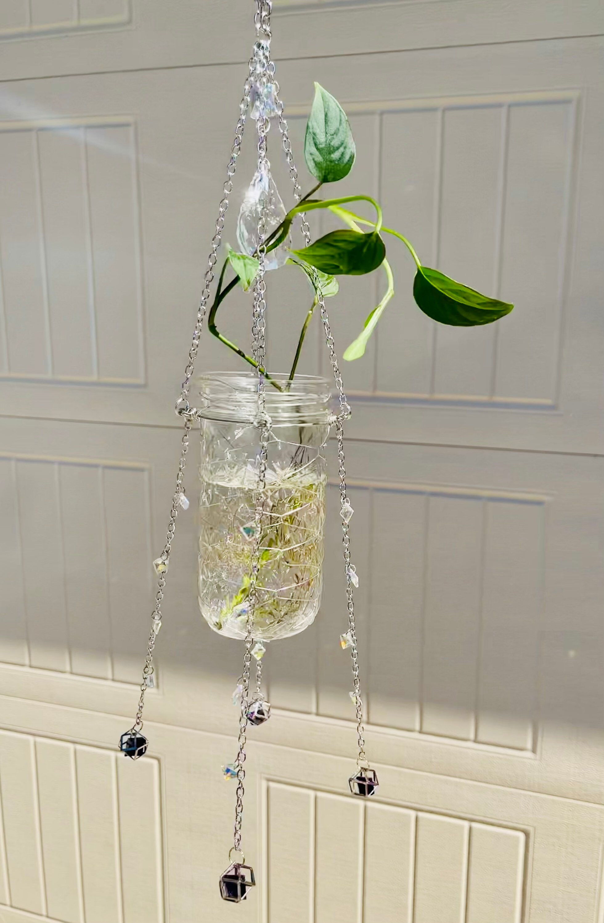 Crystal propagation jar