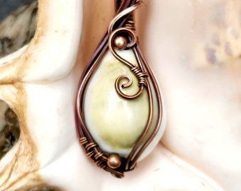 Natural Cowrie Shell in Antiqued Copper Wire