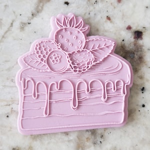 Slice of Cake Biscuit Cookie POPup & Cutter Embosser Stamp Fondant Cake Decorating Icing Stencil Mothers Day