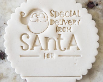 Special Delivery From Santa For Cookie Biscuit Stamp Fondant Cake Decorating Icing Cupcakes Stencil Christmas