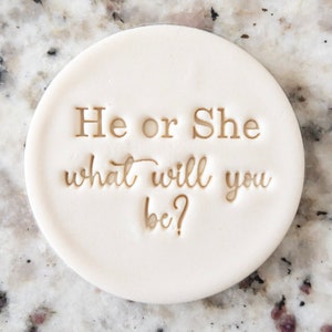 He Or She What Will It Be Cookie Biscuit Stamp Fondant Cake Decorating Icing Cupcakes Stencil