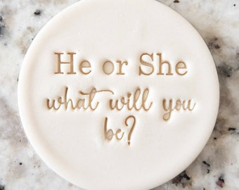 He Or She What Will It Be Cookie Biscuit Stamp Fondant Cake Decorating Icing Cupcakes Stencil