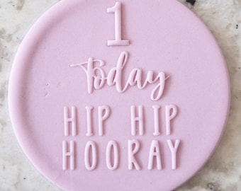 May include: A pink round cake topper with the number 1, the words "Today" and "Hip Hip Hooray" in white.