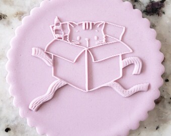 Cat In Present Box POPup Embosser Cookie Biscuit Stamp Fondant Cake Decorating Icing Cupcakes Stencil Christmas