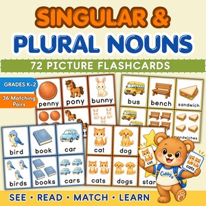 Può includere: Un set di 72 flashcard educative per nomi singolari e plurali, con illustrazioni colorate di animali e oggetti come uccelli, libri e auto. Un orso disegnato tiene in mano due carte, con il testo SINGULAR & PLURAL NOUNS presente nell'immagine.