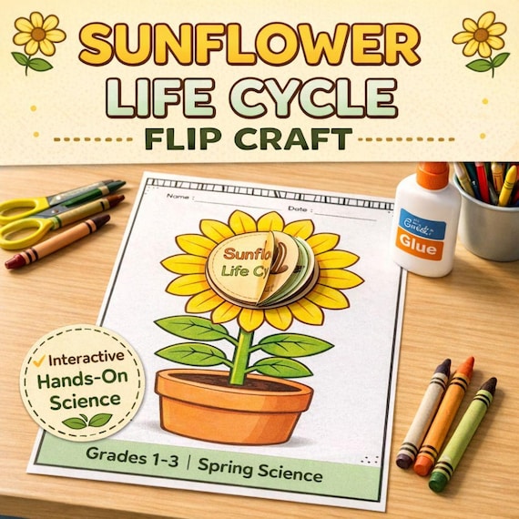 Sunflower Life Cycle Flip Craft Printable, Plant Life Cycle Activity, Spring Science Worksheet, Homeschool PDF