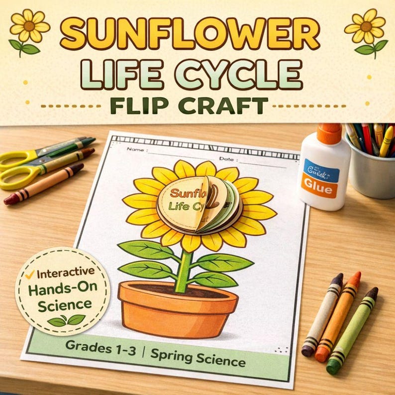 Puede incluir: Un proyecto de manualidades impreso titulado "Sunflower Life Cycle Flip Craft" con una ilustraci&oacute;n de girasol. Incluye crayones, tijeras y pegamento. El texto dice "Interactive Hands-On Science" y "Grades 1-3 | Spring Science".