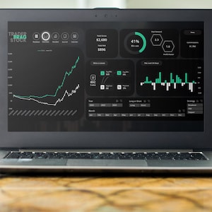 Excel-sjabloon voor handelsdagboek opties - Options Master Pro-spreadsheet voor optiehandelaren, digitale download W&S-tracker